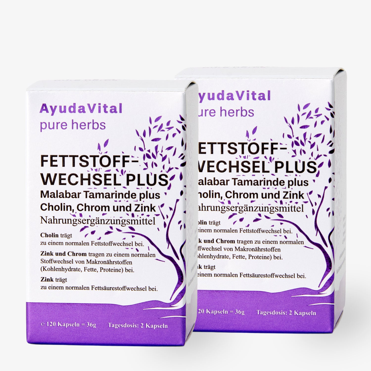 FETTSTOFFWECHSEL PLUS