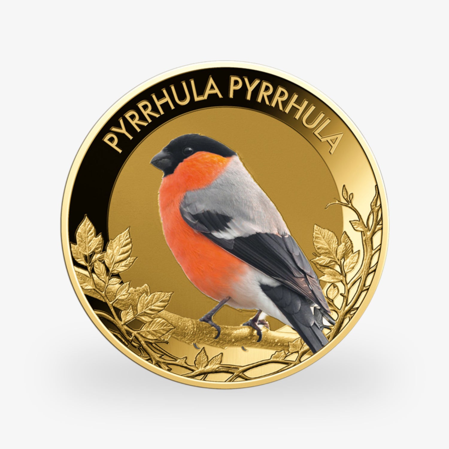 Die beliebtesten Singvögel – vollständige Sammlung kolorierte Goldmünzen