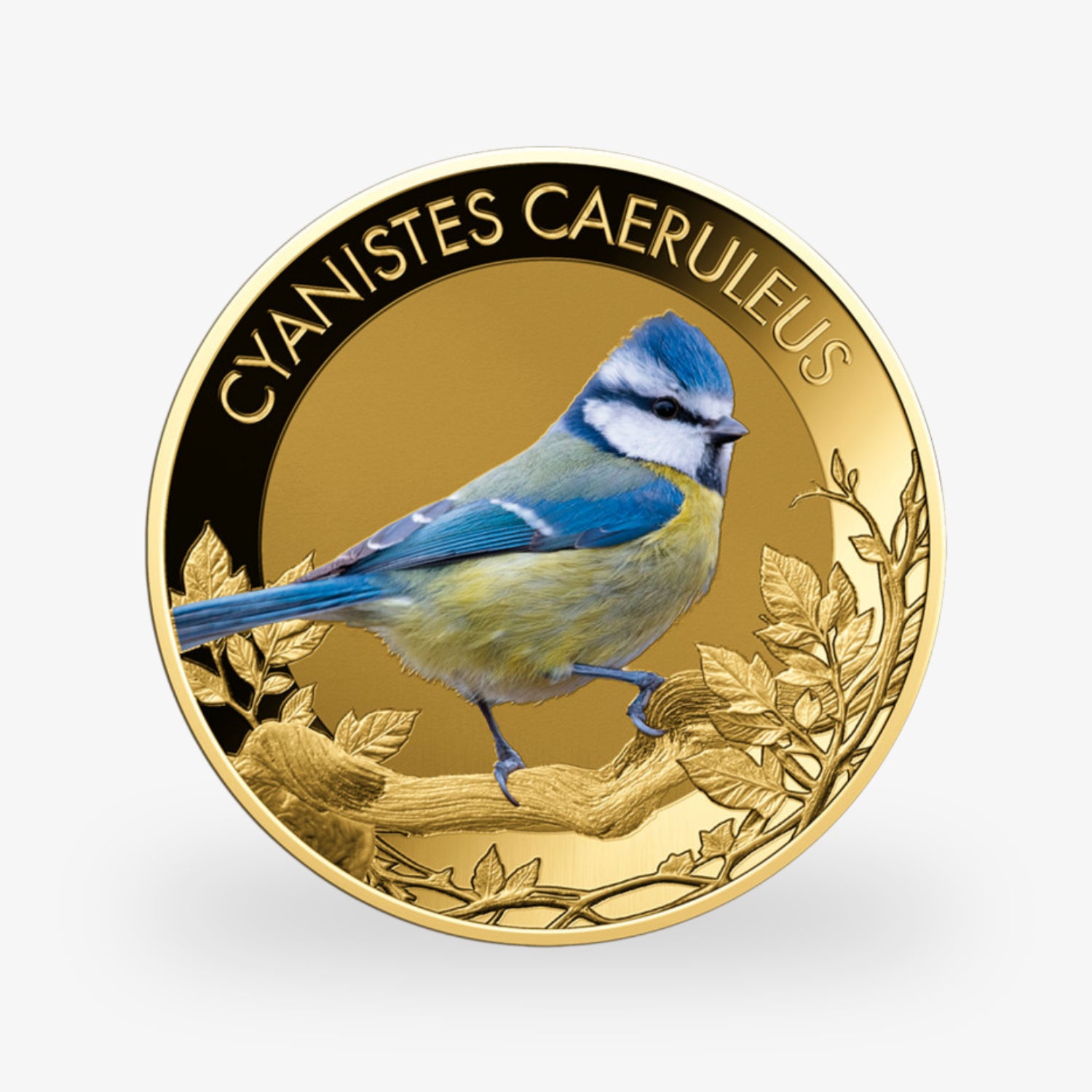 Die beliebtesten Singvögel – vollständige Sammlung kolorierte Goldmünzen