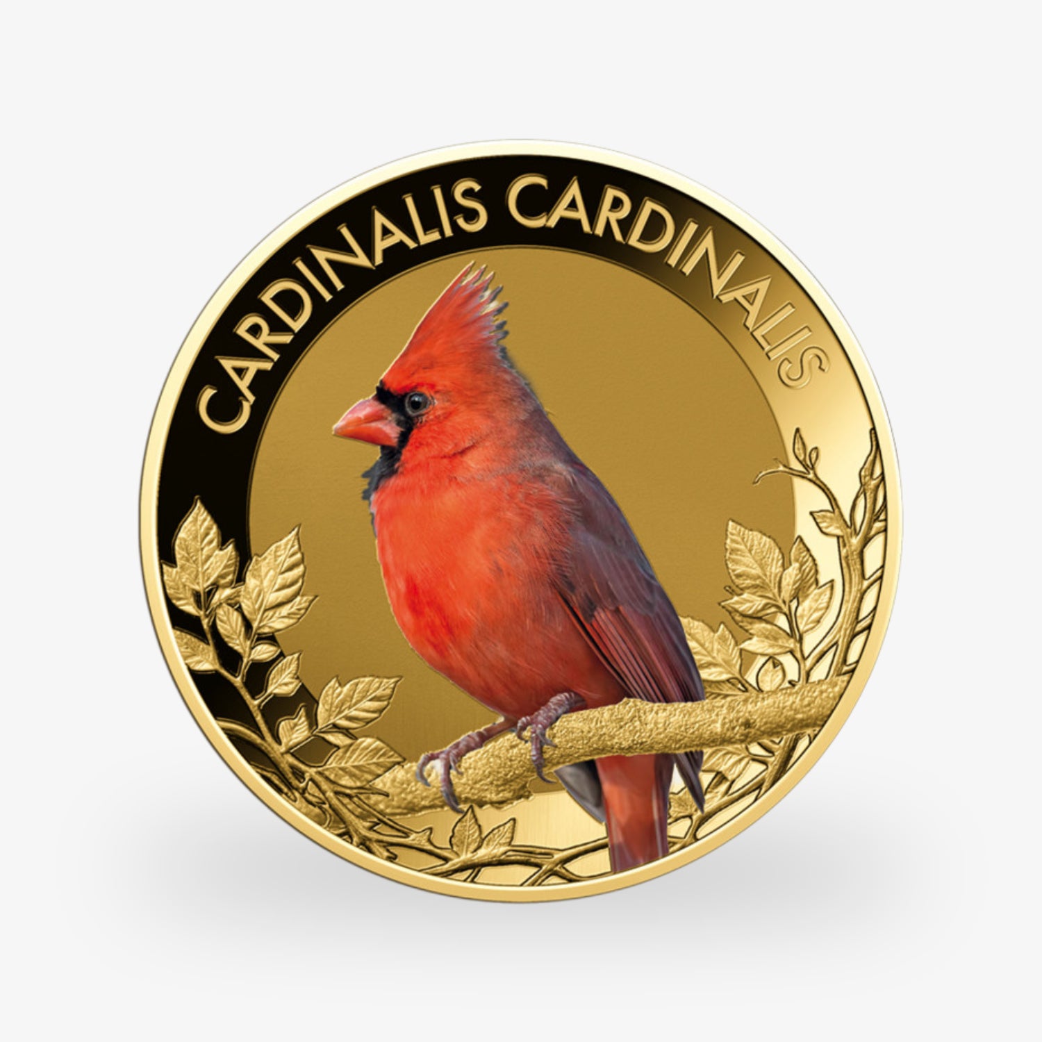 Die beliebtesten Singvögel – vollständige Sammlung kolorierte Goldmünzen