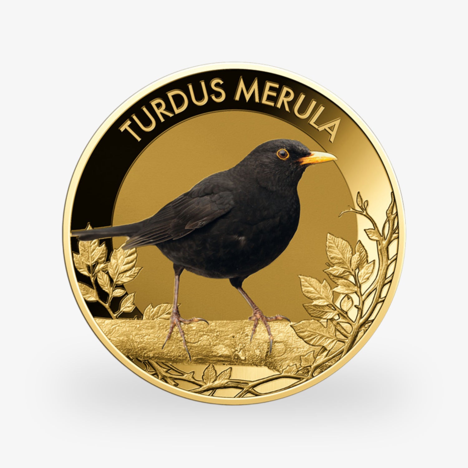 Die beliebtesten Singvögel – vollständige Sammlung kolorierte Goldmünzen