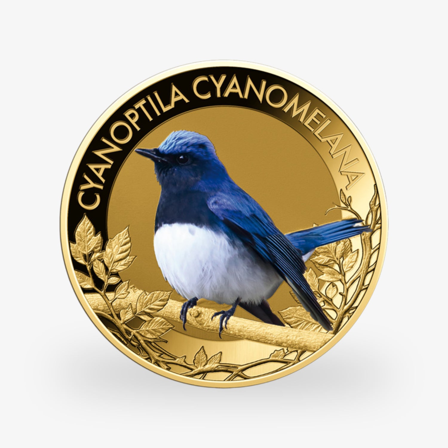 Die beliebtesten Singvögel – vollständige Sammlung kolorierte Goldmünzen