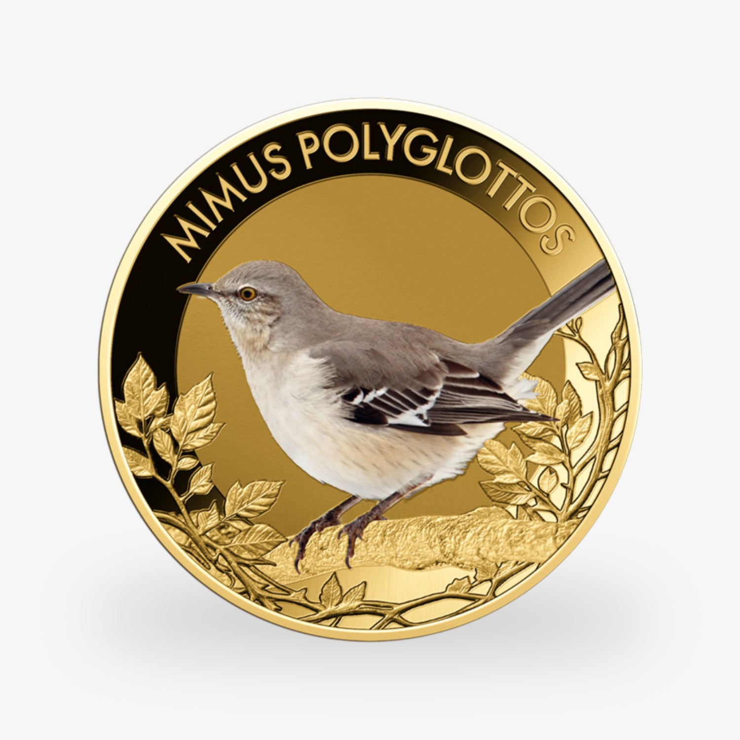 Die beliebtesten Singvögel – vollständige Sammlung kolorierte Goldmünzen