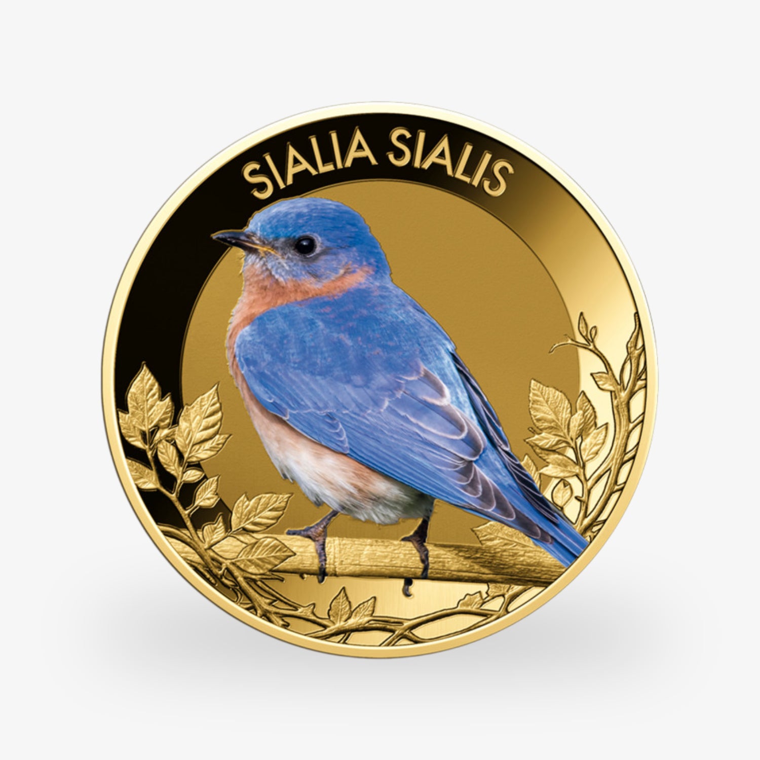 Die beliebtesten Singvögel – vollständige Sammlung kolorierte Goldmünzen