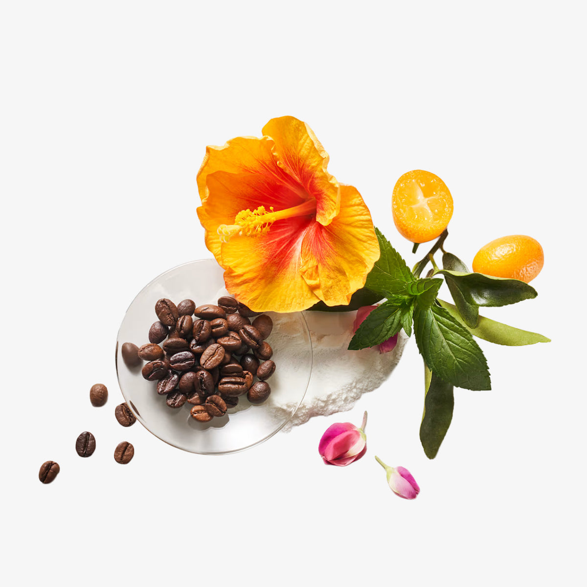 THICKENING COFFEIN Conditioner Power Formula 250 ml