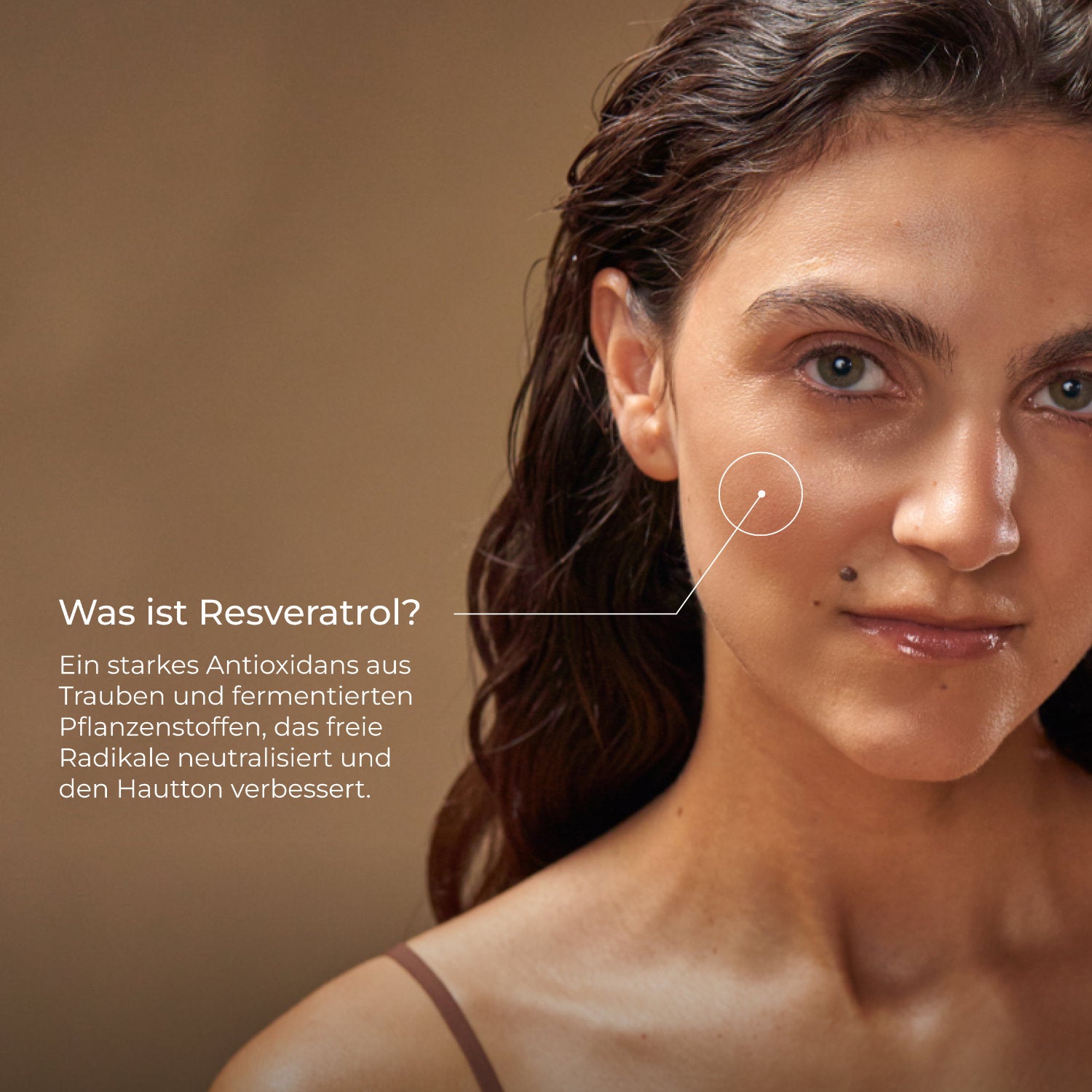 Intensive Nachtcreme – Regeneration & Pflege - 50 ml