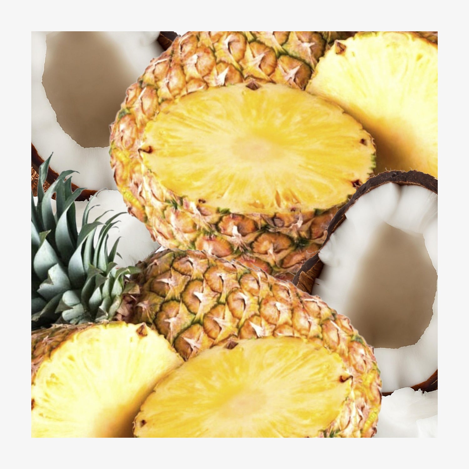 Produktbild 42190-ak_ananas-kokos.jpg