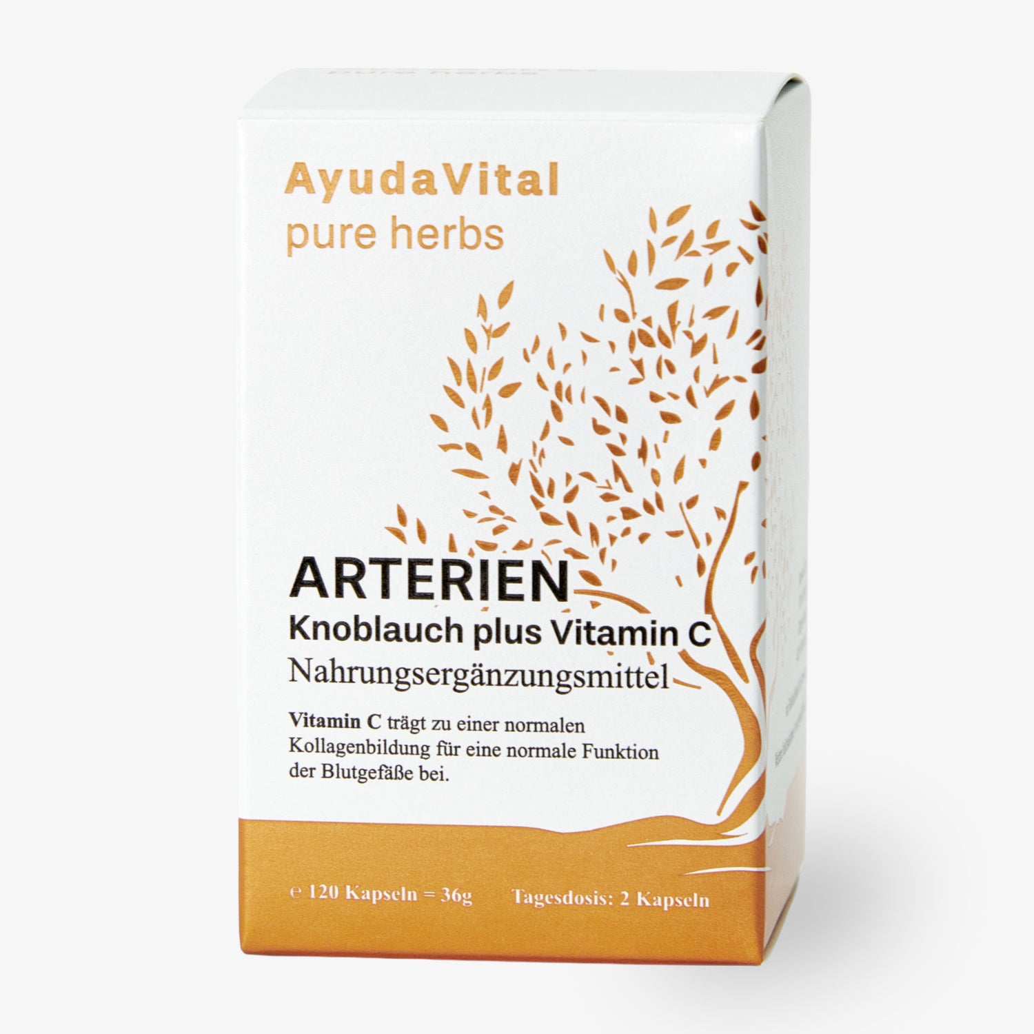 ARTERIEN
