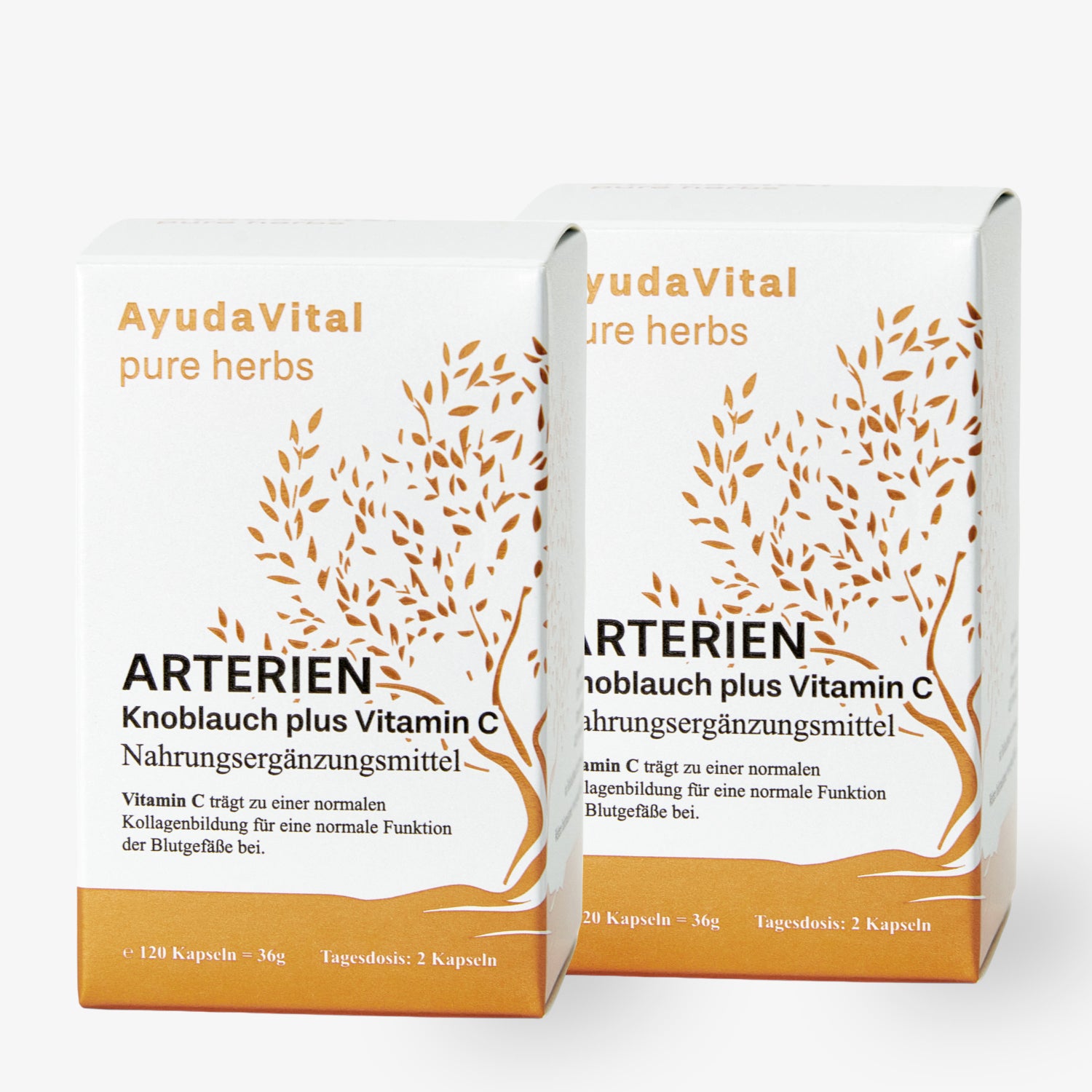ARTERIEN