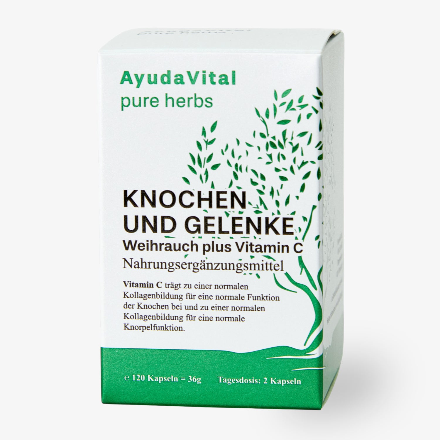 KNOCHEN UND GELENKE