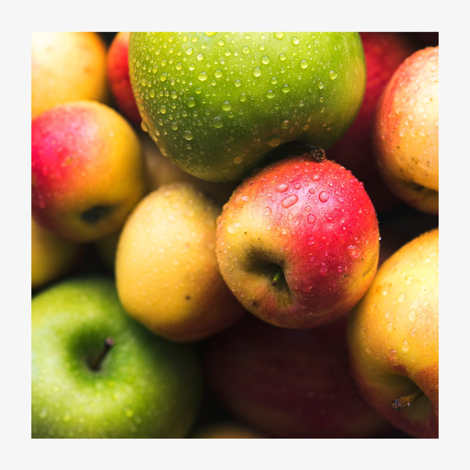 Produktbild 42190-ak_apfel.jpg