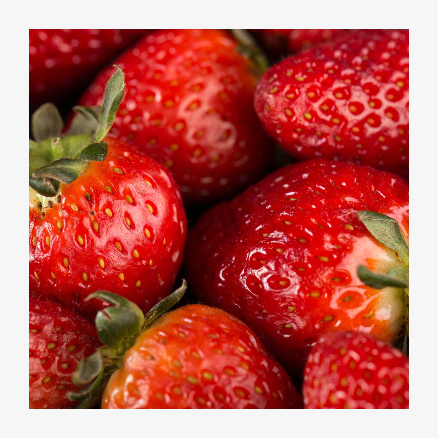 Produktbild 42422-e_erdbeere.jpg