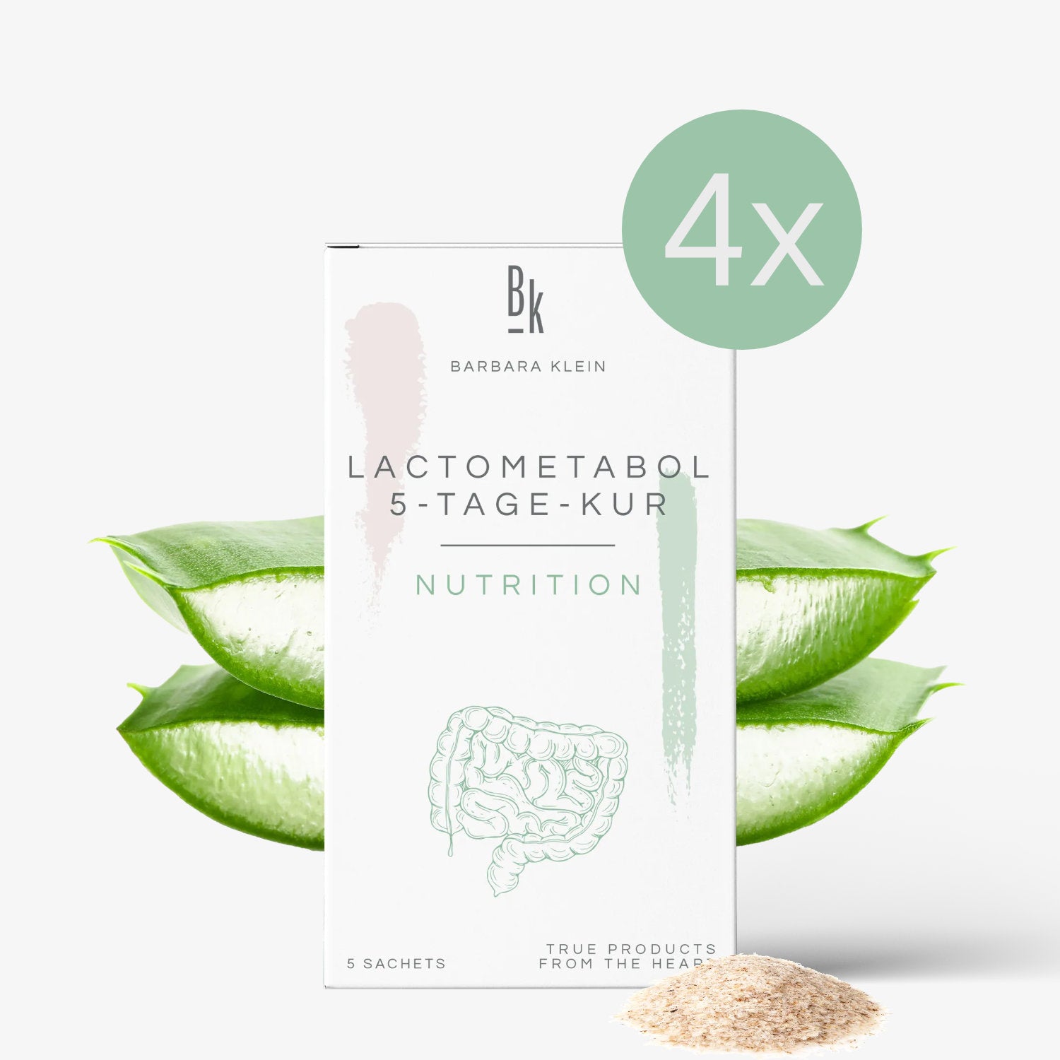 Produktbild 42425_coursannuel.jpg