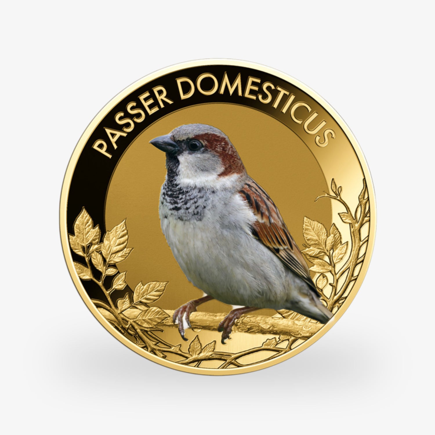 Die beliebtesten Singvögel – vollständige Sammlung kolorierte Goldmünzen